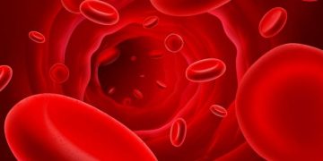 אין ספור עדויות של חולים וסובלים המספרים על הצלחת הטיפול